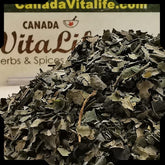 Black Walnut Leaves